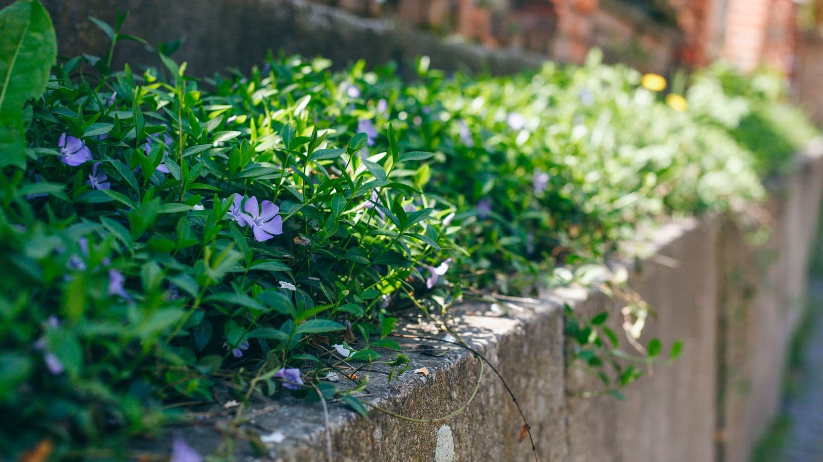 Retaining Wall Maintenance: Annual Inspection Checklist